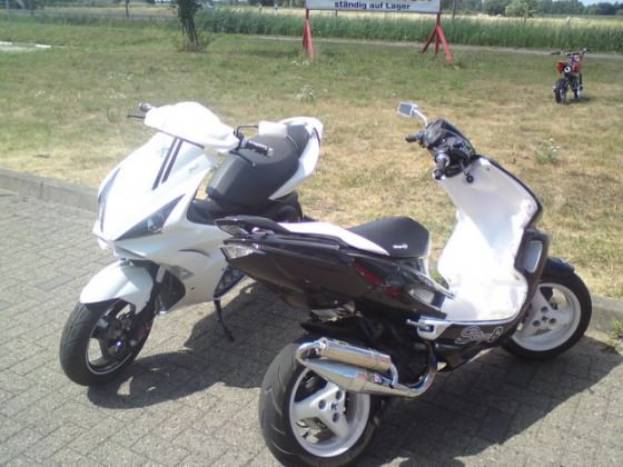 speedy vom kumpel & mein jett