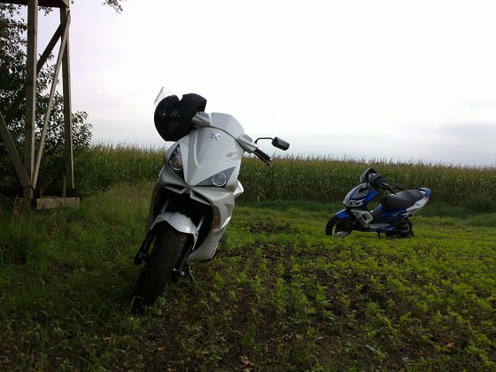Heute ma wieder etwas angenehmes wetter....