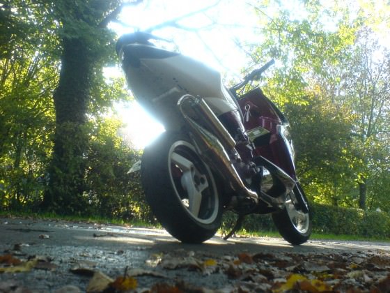 Herbst ♥