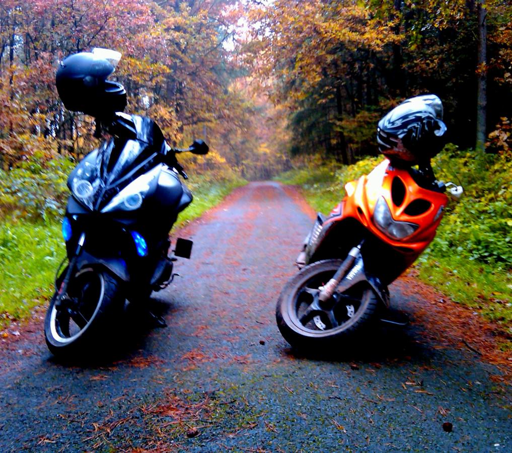 Rox + Jetty *_*