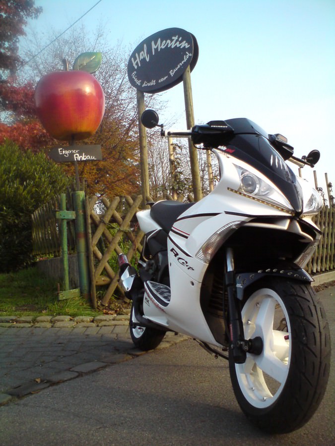 Der Scooter