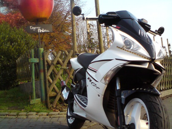 Der Scooter