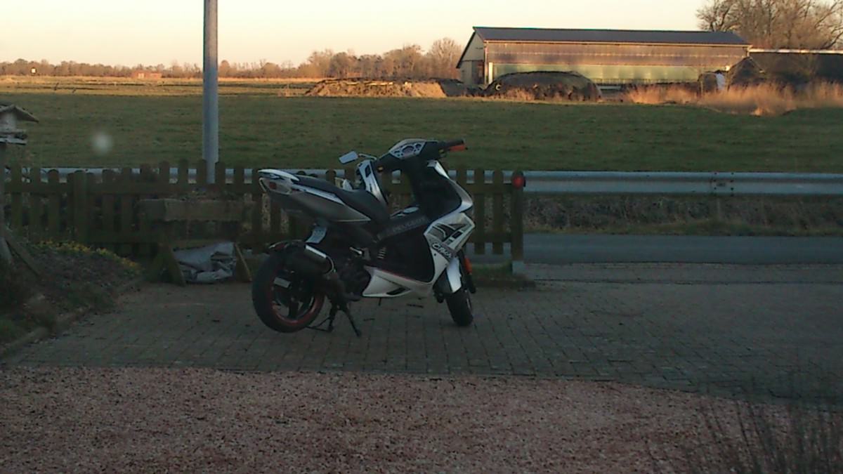 meine jetty :)