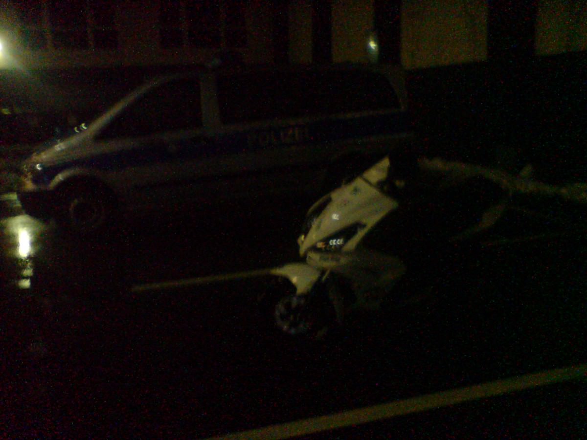letzte bilder für 2010