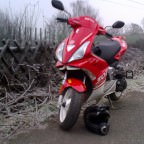 noch schnell ein paar winterbilder gemacht :D