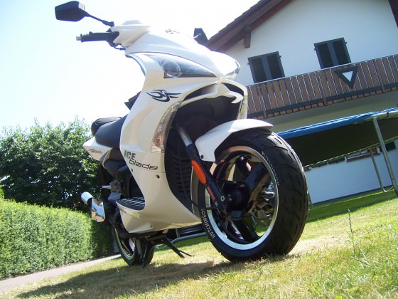 Mein 7 Tage alter Jett
