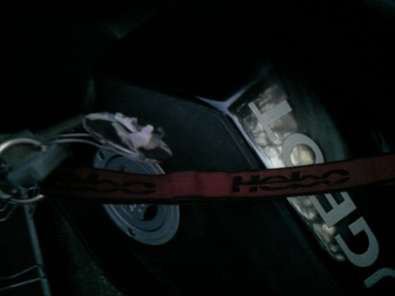 Hebo