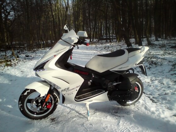 Der Scooter