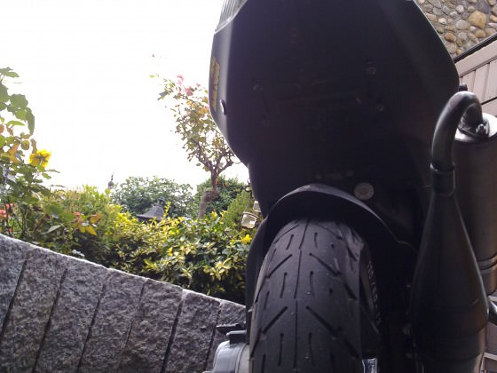 Malle Sport platt gemacht (;