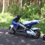 Durch wald und Wiesen ;)