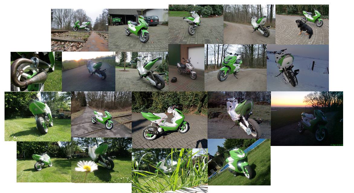 Jaja Meine Geliebte Nitro