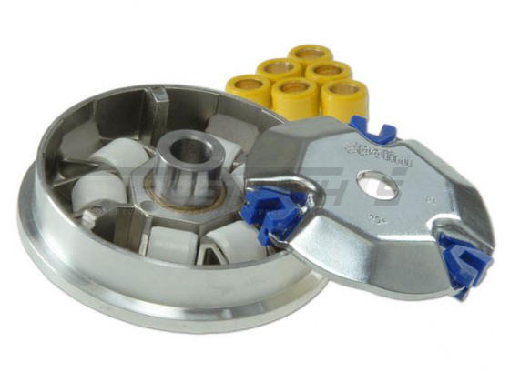 Variator