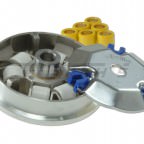 Variator