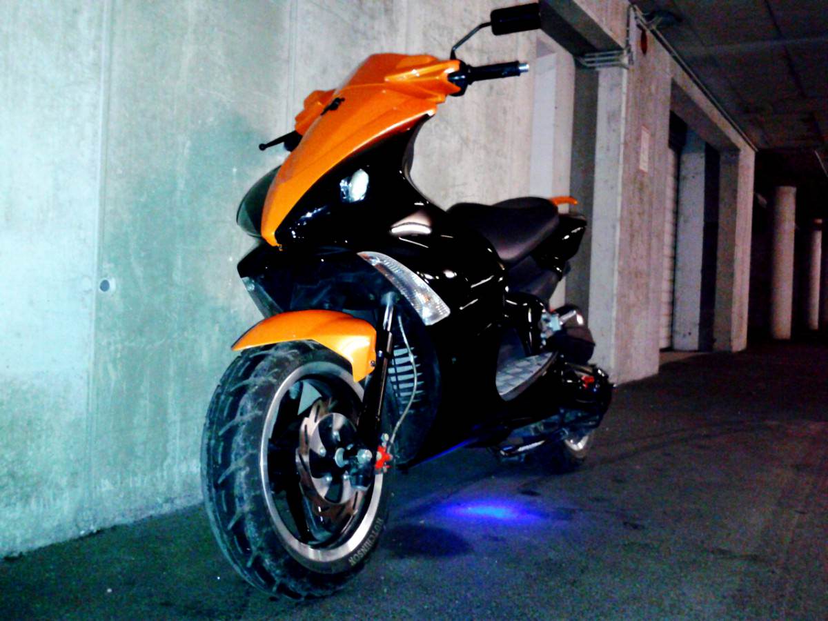 orangeblack jetts