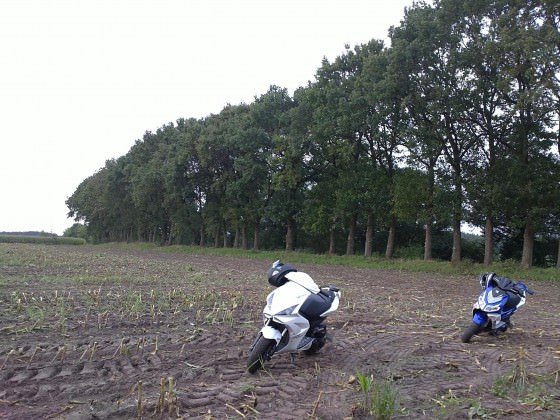 Heute ma wieder etwas angenehmes wetter....