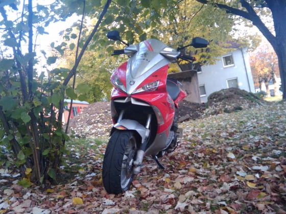 Mein Hasi♥