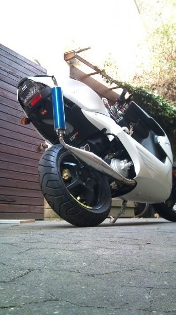 Aerox vom Freund