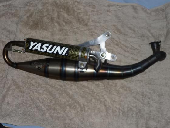 yasuni.c16