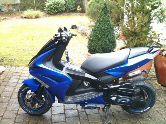 Blauer UB, Bitchezz :D