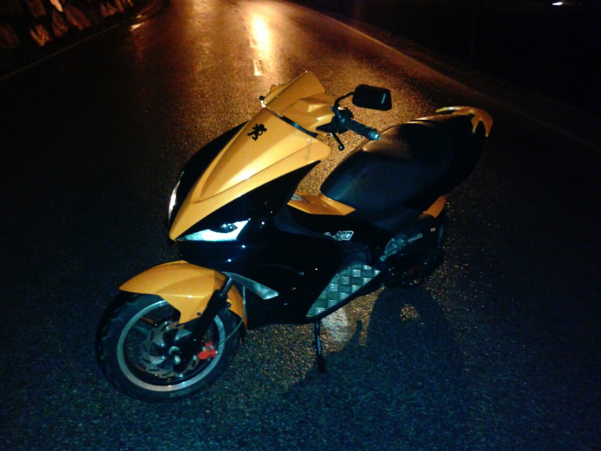 orangeblack jetts