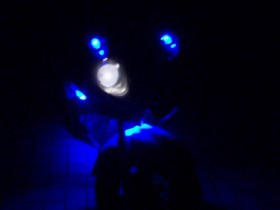 100_5717.JPG
