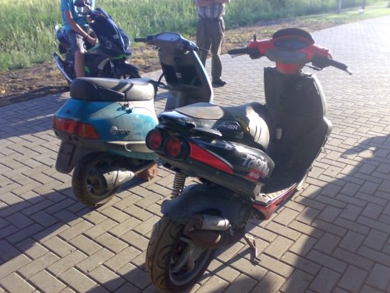 grad zwei schnäpchen geschossen
