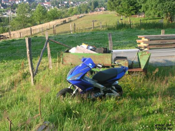 Meine Bilder 146.JPG