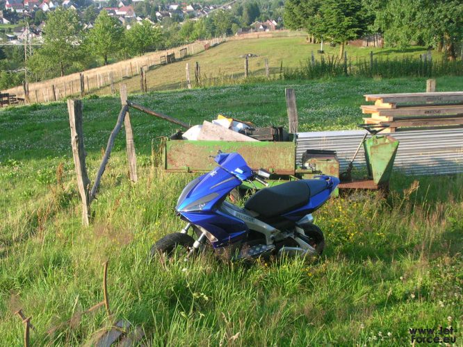 Meine Bilder 146.JPG