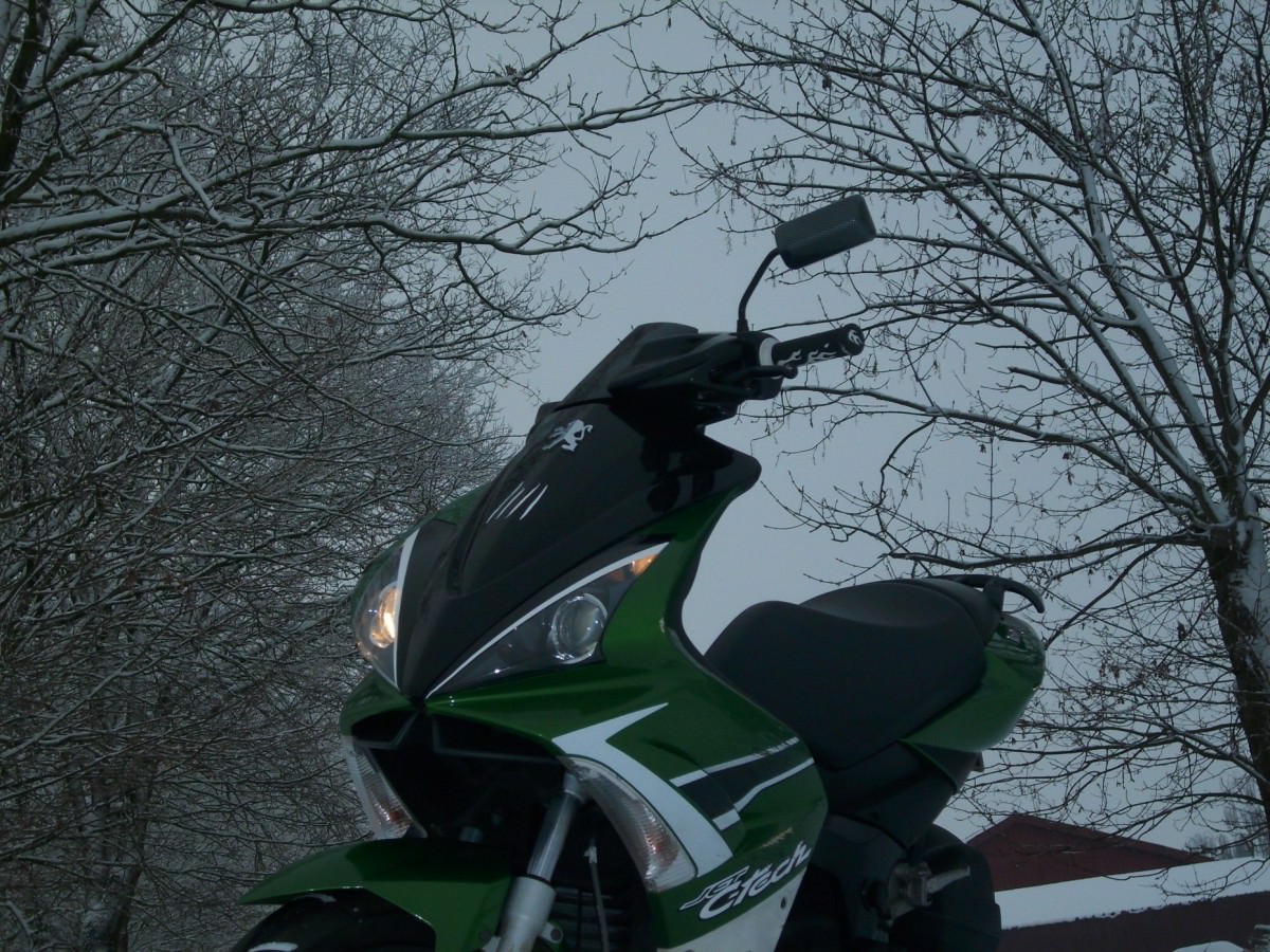 WINTER