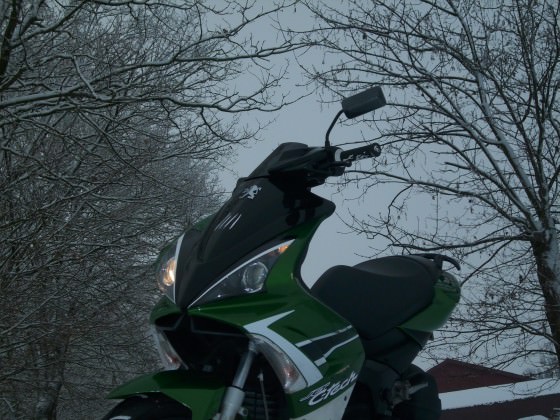 WINTER