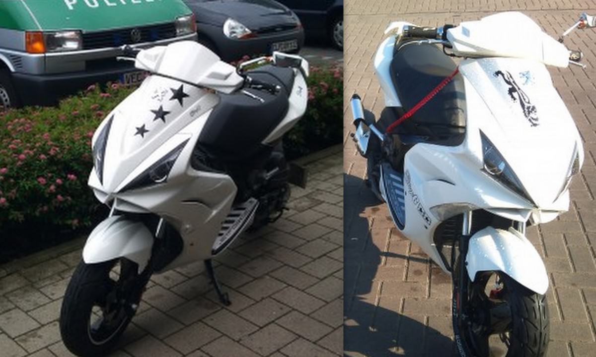 sterne oder malossi löwen ?