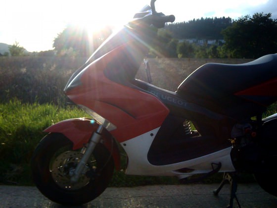 Paar Pics