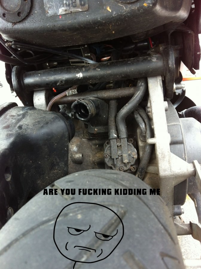 Are u f*ckin kiddin me?