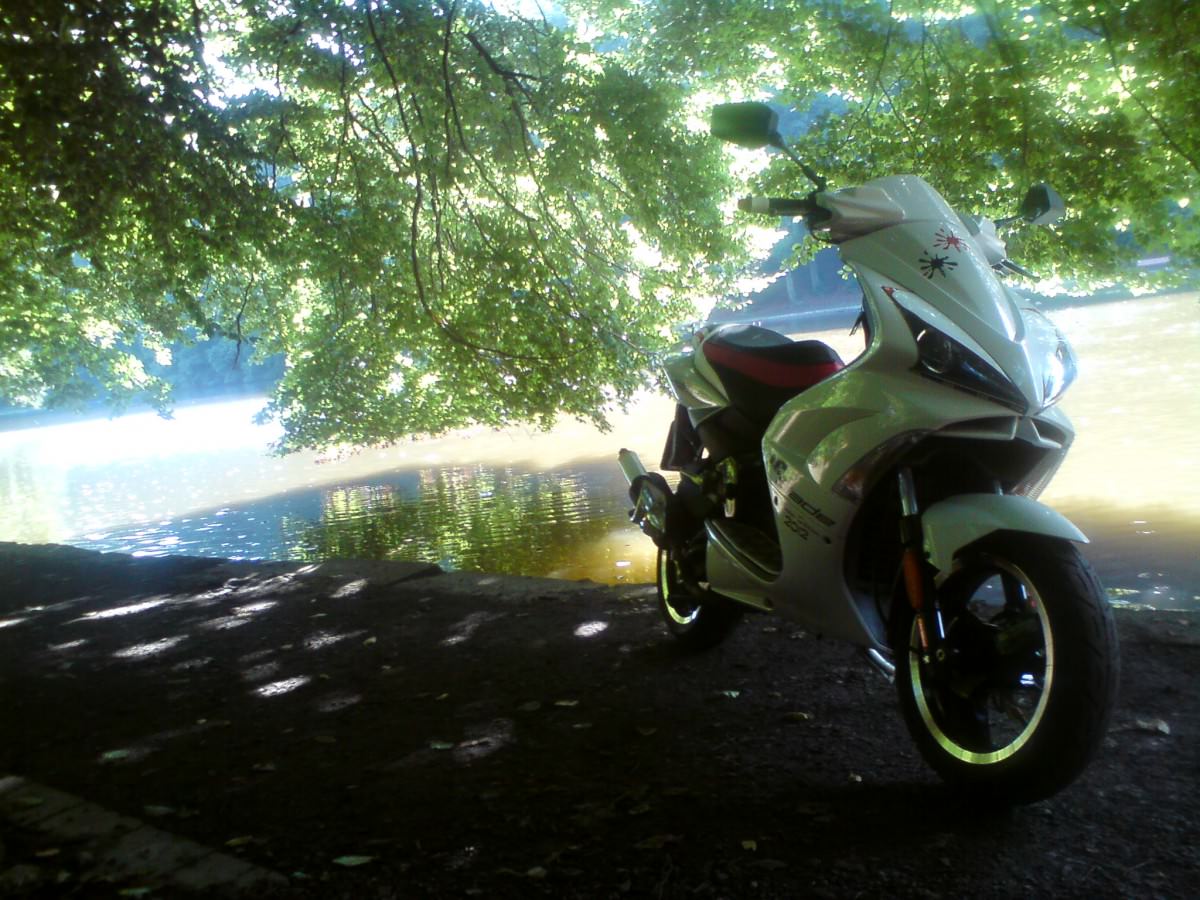 Der Scooter