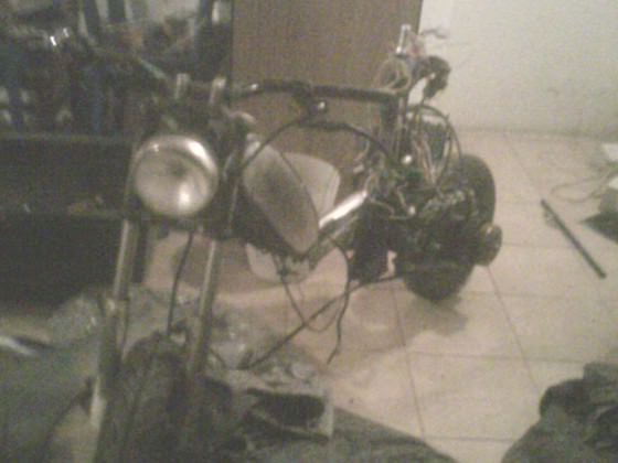 Mofler2