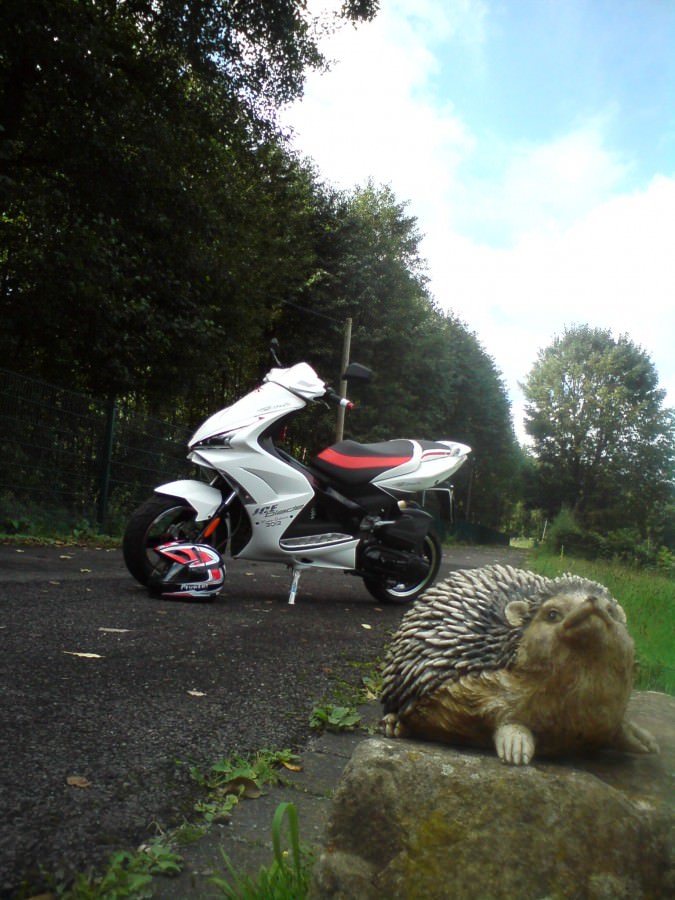 Scooter/Helm & Igel