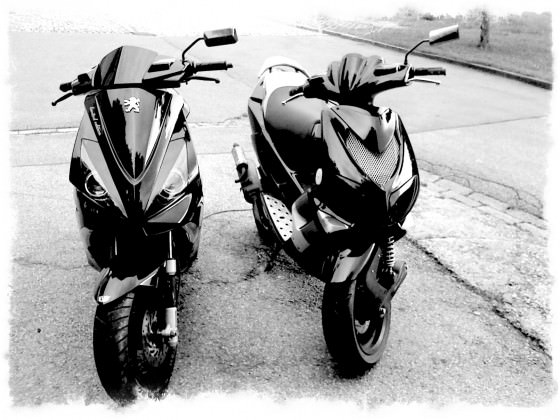 Die BESTEN !!!