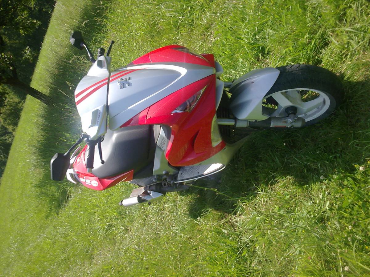 Bild019