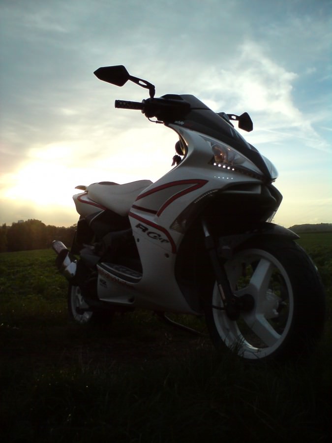 Der Scooter