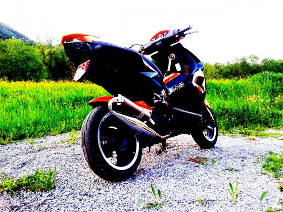 orangeblack jetts