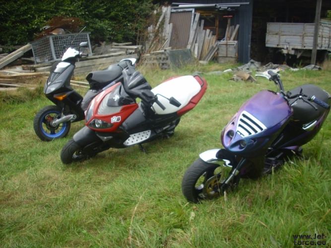 is der mittlere gini