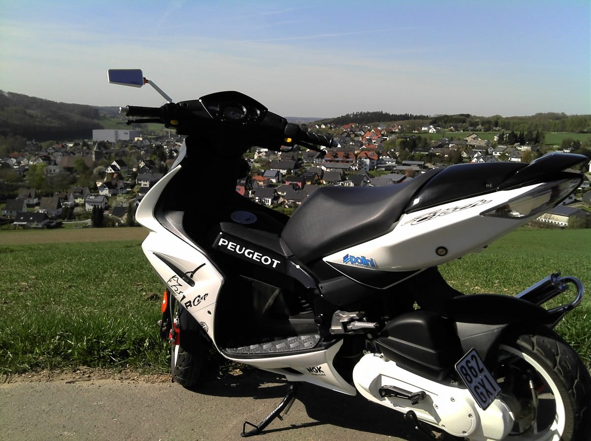 paar bilder