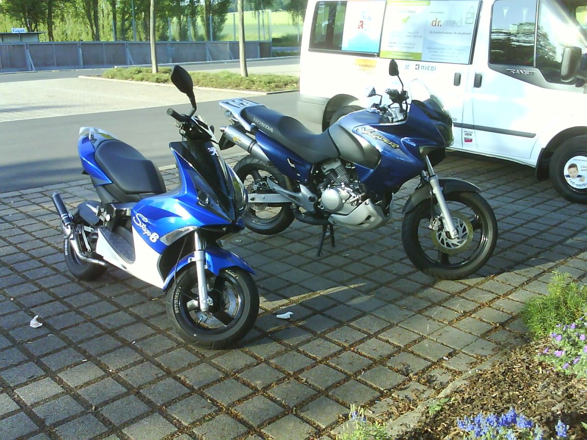 So isser wenn er erwachsen is :D:D