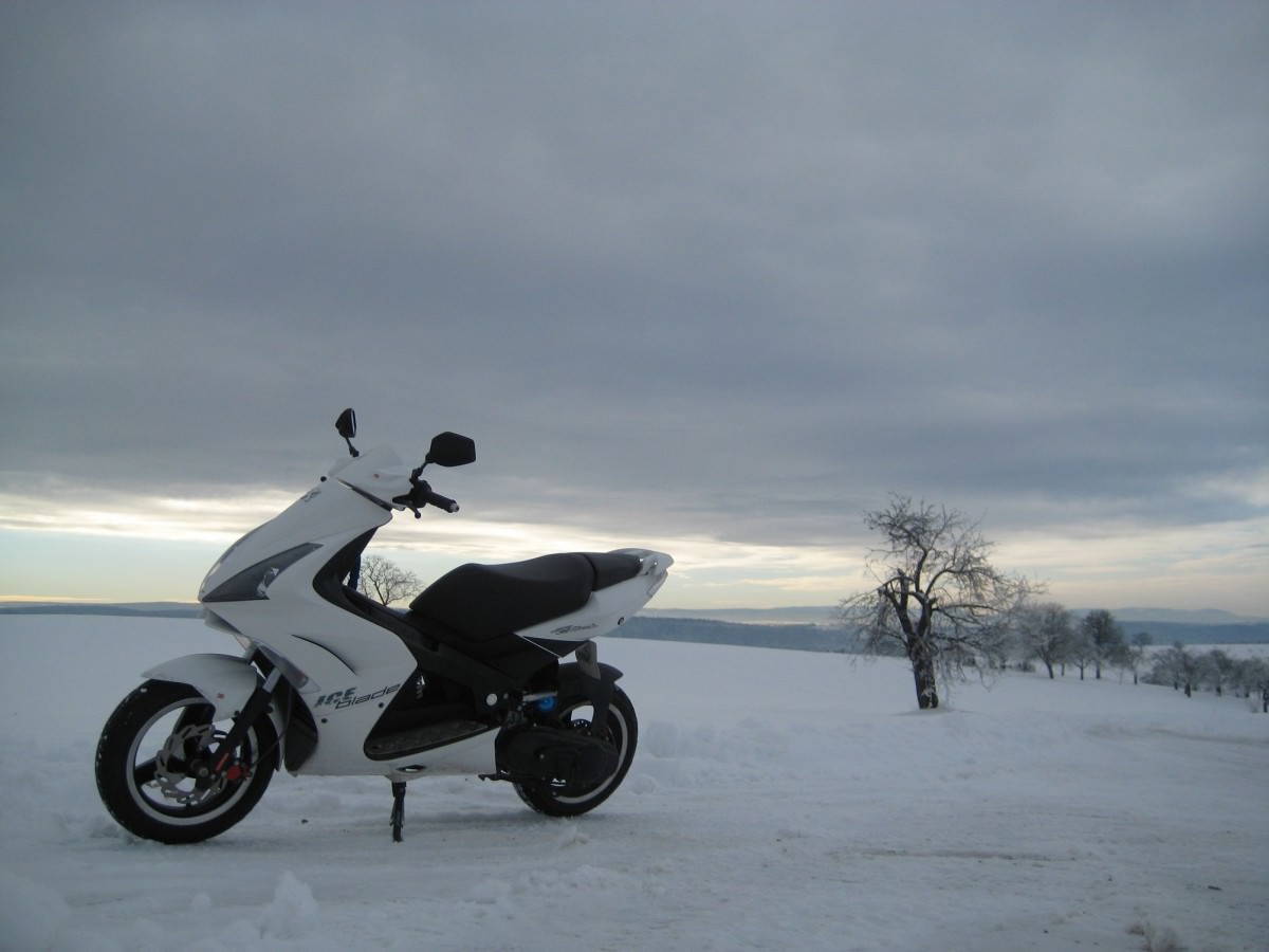 Winter :)