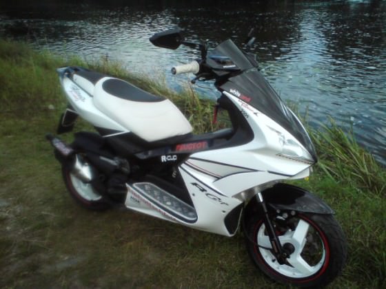 Der Scooter