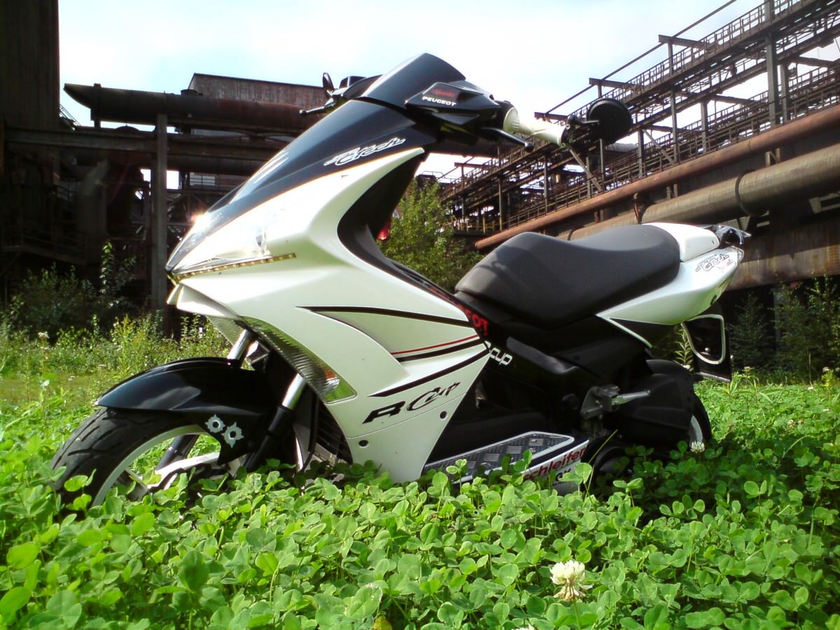 Der Scooter