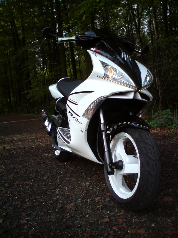 Der Scooter