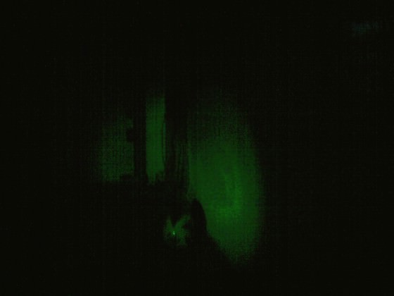 Meine LEDs in den Hasenzähnen.