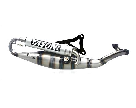Yasuni r