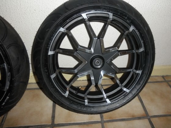 meine baby´s